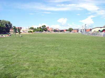 turf, grass, funscape